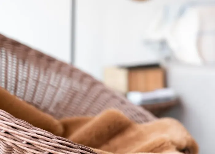 Apartmán Acces Prive 4pers